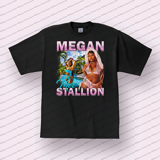 Megan thee Stallion Distressed Graphic Tee